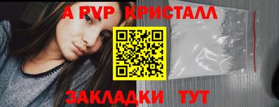 дмт Аргун