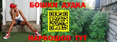 дмт Аргун