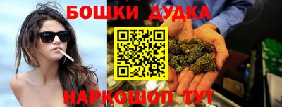 дмт Аргун