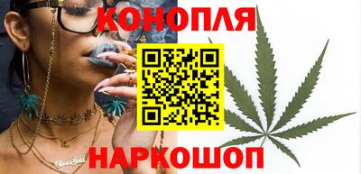 дмт Аргун