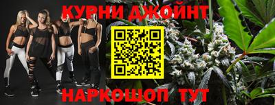 дмт Аргун