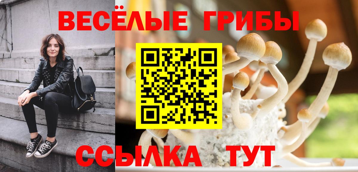 Псилоцибиновые грибы MAGIC MUSHROOMS  Вход с VPN  Воскресенск 